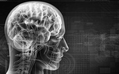 A new drug could help stop depression, anxiety, brain injury, and cognitive disorders