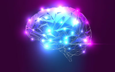 What is the Relationship Between the Mind and the Brain?